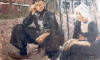 Dutch Couple, Vollendam